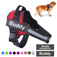 Personalized Dog Harness NO PULL Reflective Breathable Adjust